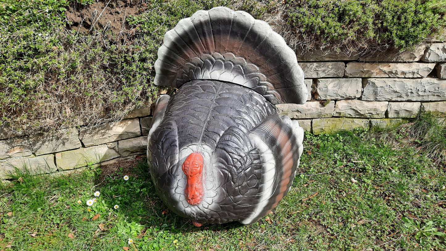 3D-Ziel "Balzender Truthahn" von Franzbogen